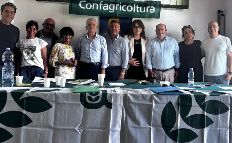 Sottoscritto il rinnovo del Contratto Territoriale destinato ai Quadri e agli impiegati agricoli della Calabria.
