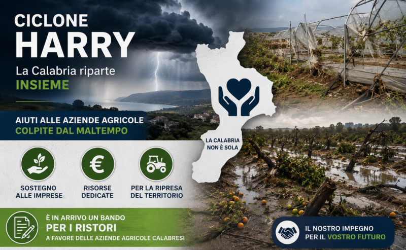 Ciclone Harry: attiva la procedura per la richiesta dei ristori alle imprese agricole colpite. Scadenza fissata al 25 luglio