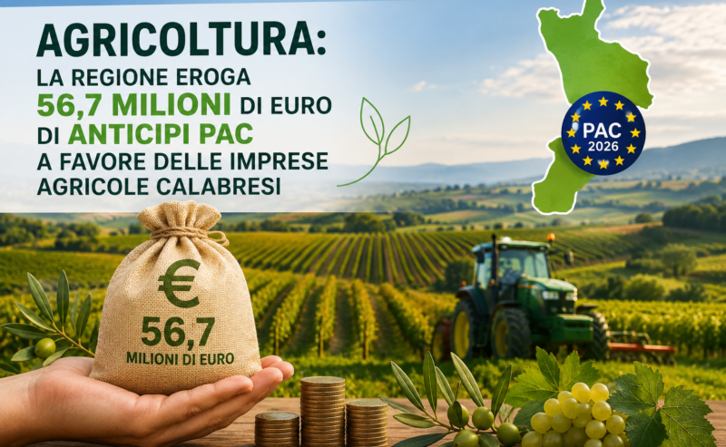 Agricoltura: la Regione eroga 56,7 milioni di euro di anticipi Pac a favore delle imprese agricole calabresi
