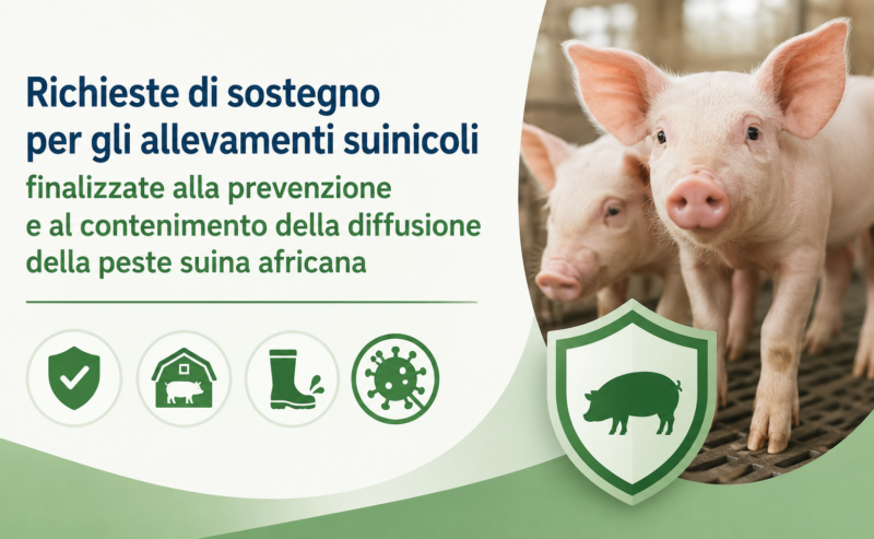 Richieste di sostegno per gli allevamenti suinicoli finalizzate alla prevenzione e al contenimento della diffusione della peste suina africana