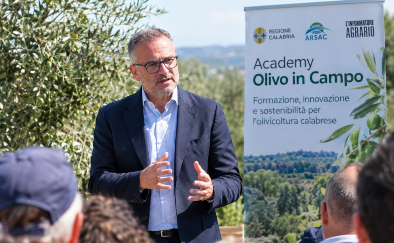 Agricoltura in difficoltà tra Xylella e rincari del gasolio, Gallo: «Saremo al fianco degli agricoltori»
