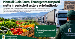 Trasporti in stallo, cresce l’allarme per l’ortofrutta della Piana di Gioia Tauro. Confagricoltura: «Intera stagione agricola a rischio»
