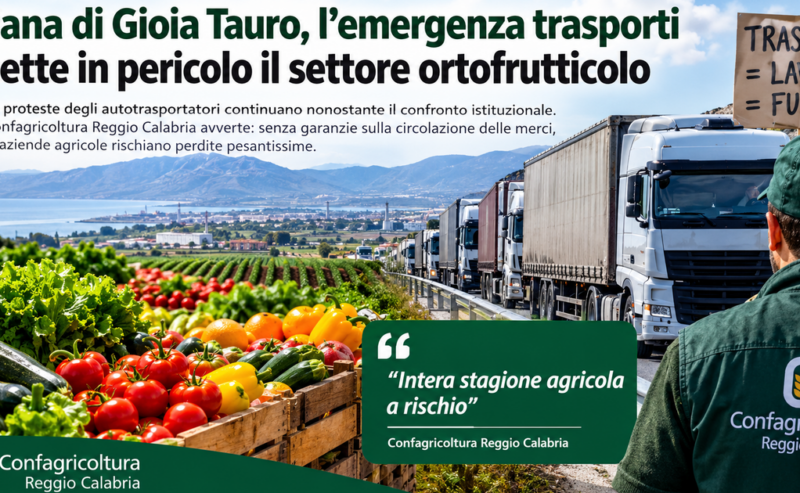 Trasporti in stallo, cresce l’allarme per l’ortofrutta della Piana di Gioia Tauro. Confagricoltura: «Intera stagione agricola a rischio»
