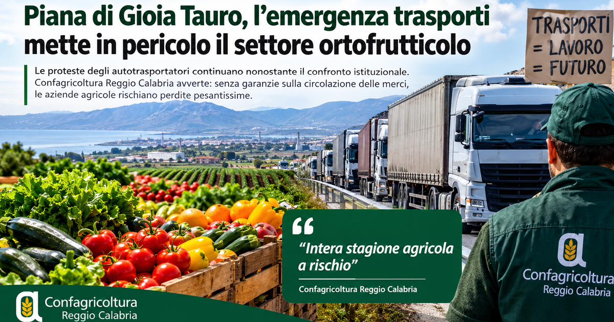 Trasporti in stallo, cresce l’allarme per l’ortofrutta della Piana di Gioia Tauro. Confagricoltura: «Intera stagione agricola a rischio»